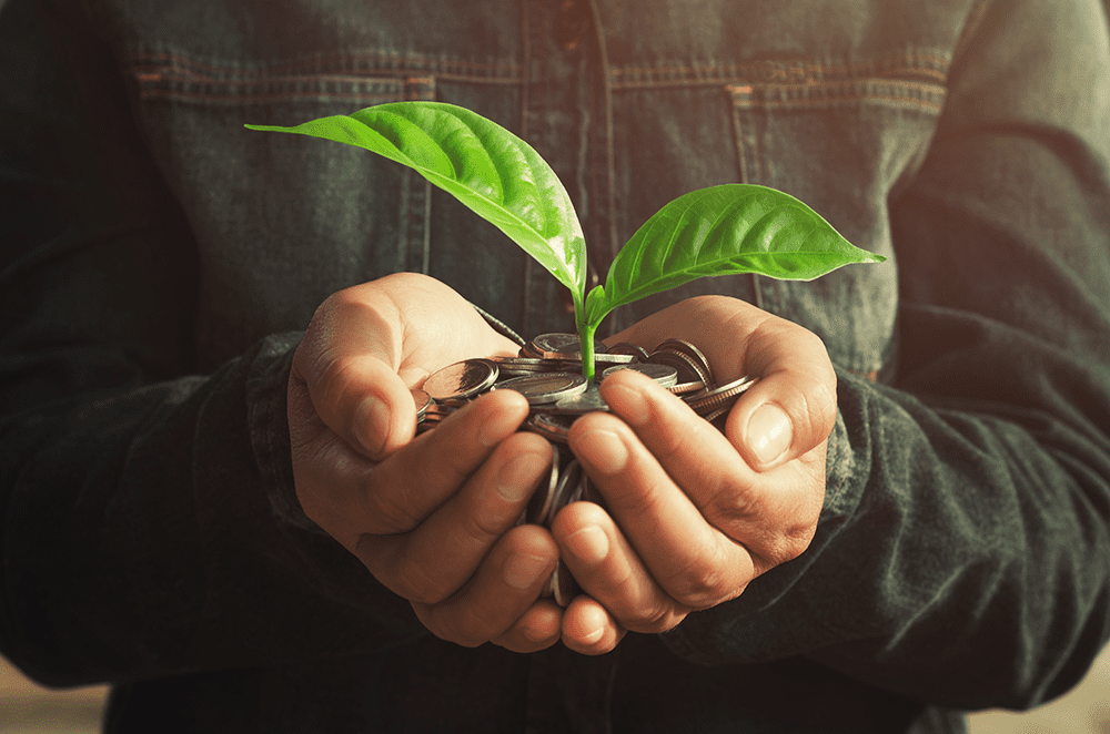 Tree growing out of money - investment annuity image
