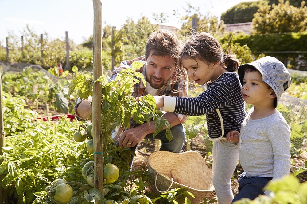 Father gardening with his kids