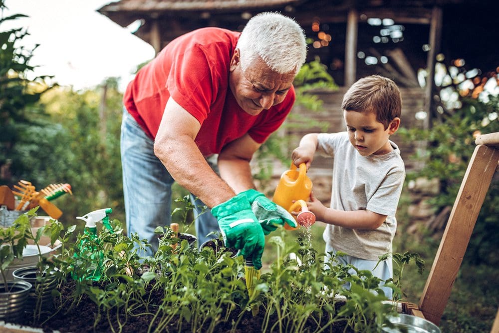 Grandfather and grandson gardening together