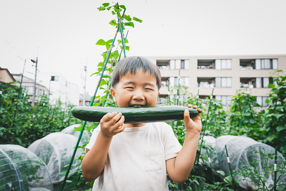 Little boy being silly, chewing on a cucumber from the garden