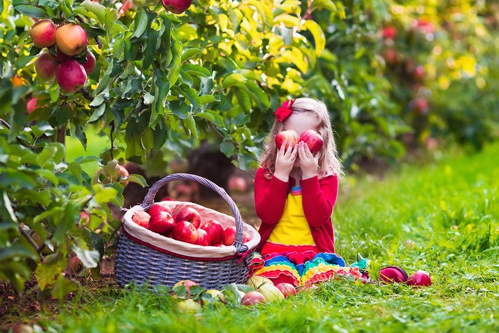 Little girl being silly while apple picking