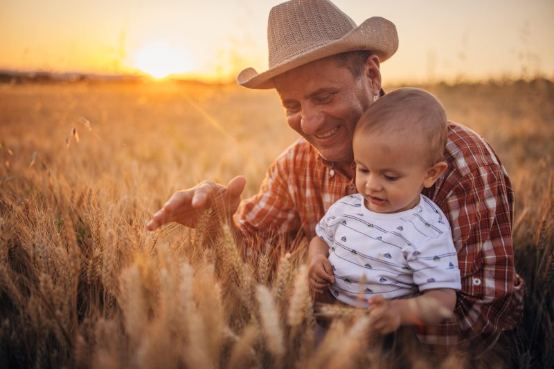 A grandpa playing in a cornfield with his infant gradnson.